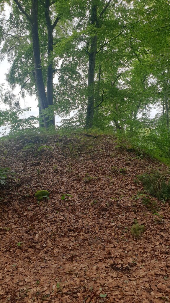 Ruine Benzenberg: Medieval Castle Seat of the Counts of Rohrdorf 1 Ruine Benzenberg