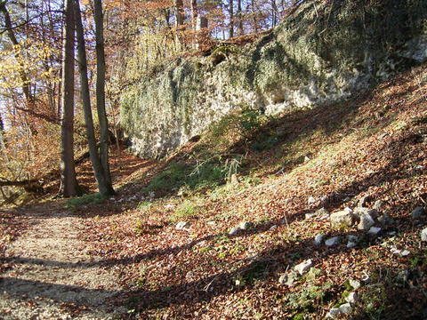 Ruine Benzenberg: Medieval Castle Seat of the Counts of Rohrdorf
