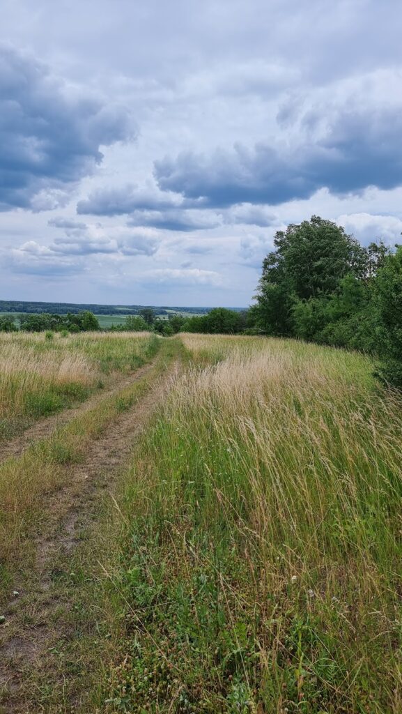 Burgwall Lossow: A Prehistoric and Slavic Fortified Settlement in Germany 2 Burgwall Lossow