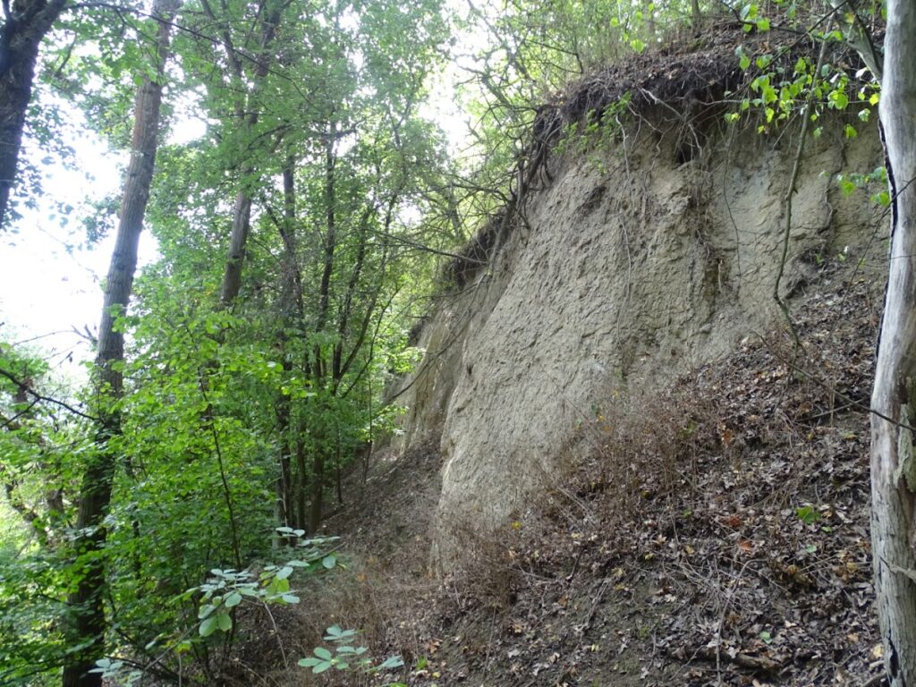 Burgwall Lossow: A Prehistoric and Slavic Fortified Settlement in Germany 4 Burgwall Lossow