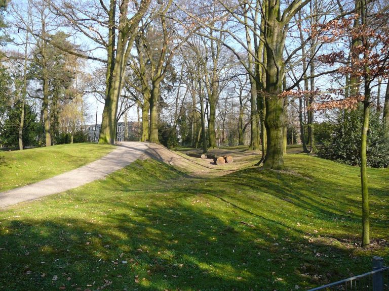 Holterhöfchen: A Tenth-Century Ringwall Fortification in Germany