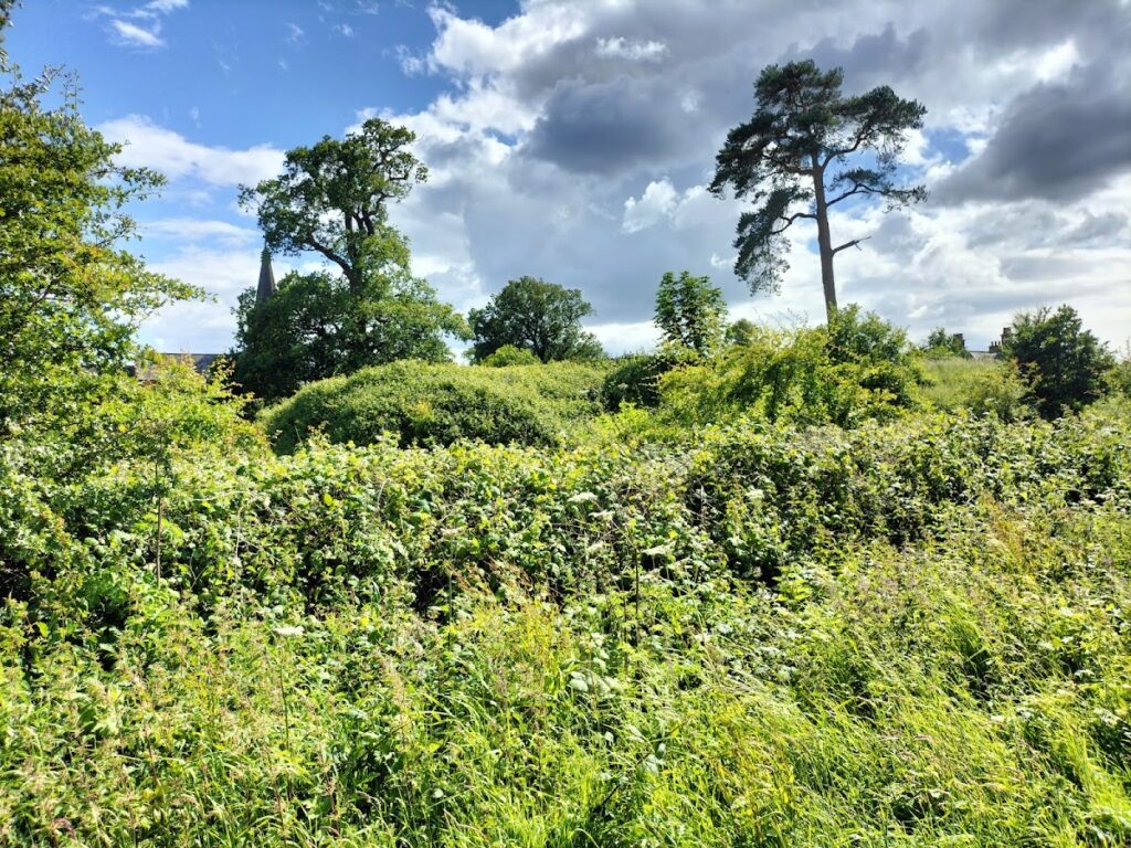 Aldford Castle