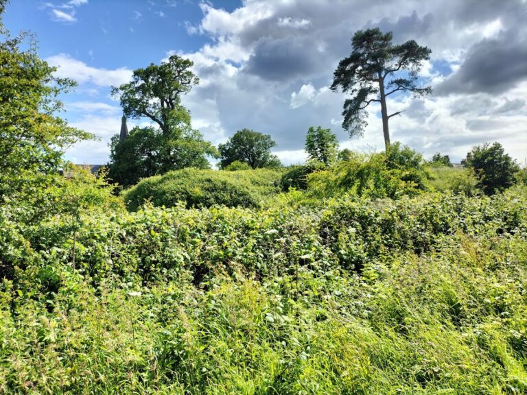 Aldford Castle: A Medieval Motte-and-Bailey Fortification in Cheshire
