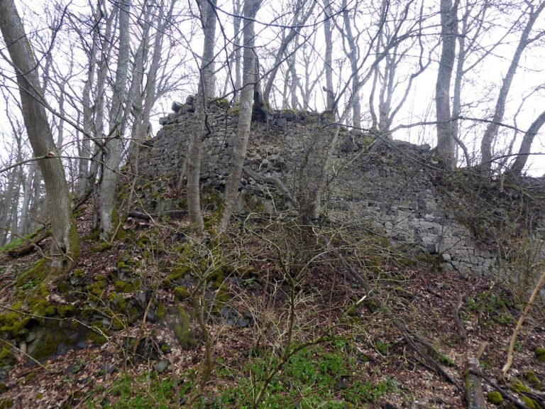 Hildenburg: A Medieval Administrative Castle in Germany