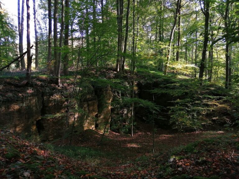 Burg Roden: A Medieval Hilltop Castle in Germany