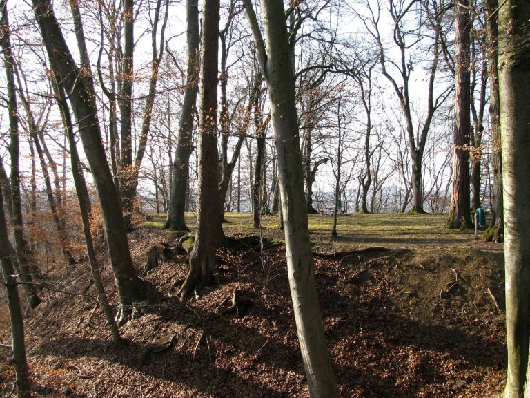 Burgstall Engelsberg: A Medieval Spur Castle Site in Germany