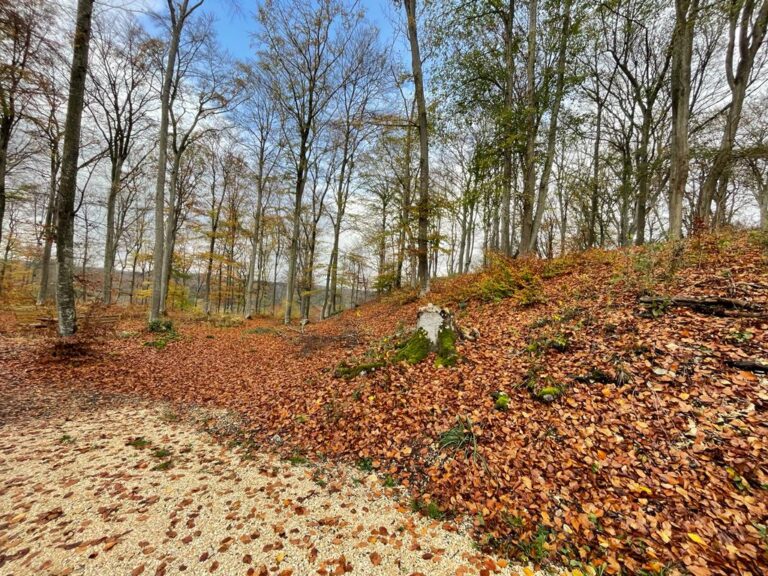 Alte Burg: A Prehistoric Cult and Assembly Site in Germany