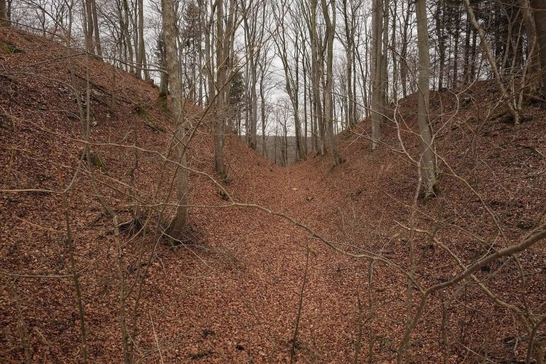 Alte Burg: A Prehistoric Cult and Assembly Site in Germany