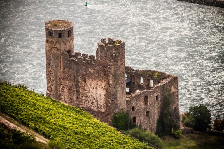 Ehrenfels Castle: A Medieval Customs Fortress on the Rhine