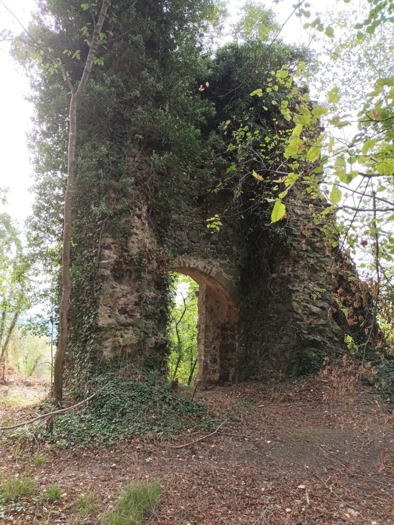 Ruine Falkenberg: A Medieval Hilltop Castle in Germany