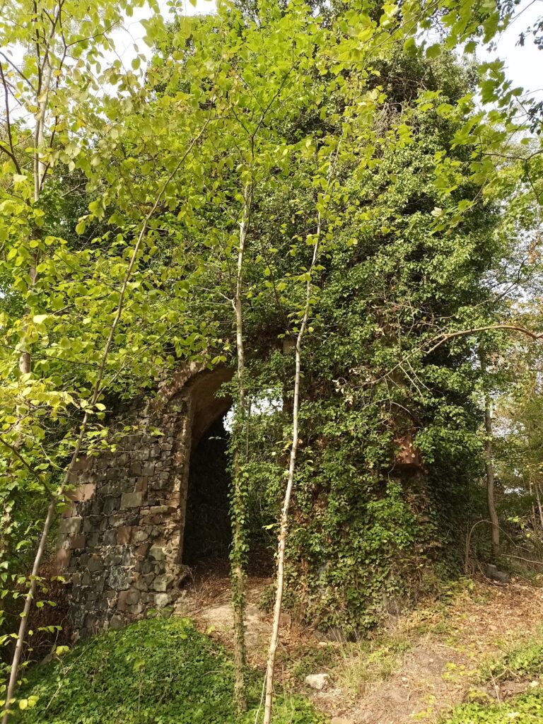 Ruine Falkenberg: A Medieval Hilltop Castle in Germany 2 Ruine Falkenberg