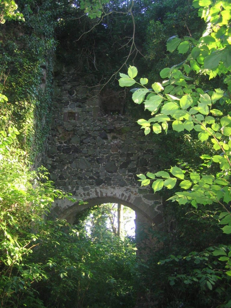 Ruine Falkenberg: A Medieval Hilltop Castle in Germany