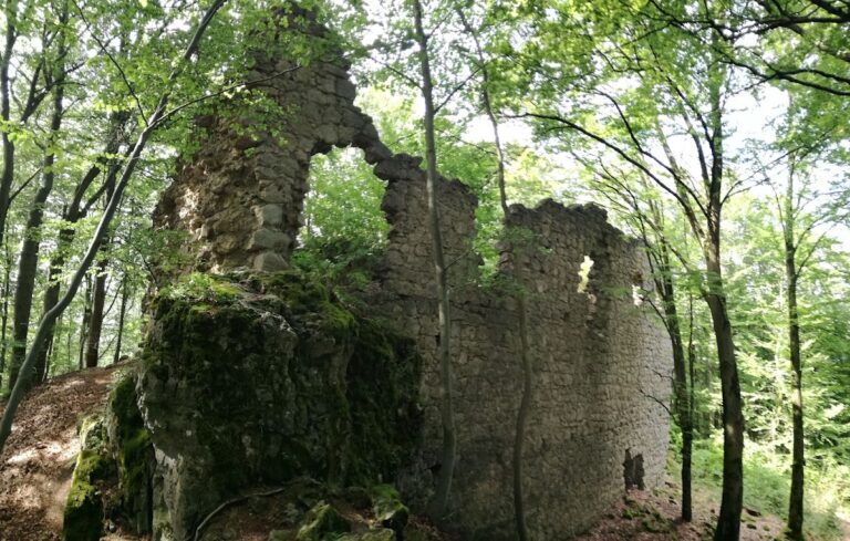Poppberg Castle Ruins: A Medieval Hilltop Castle in Germany