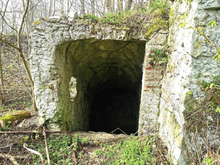 Klettenberg Castle Ruins: A Medieval Hilltop Fortress in Germany