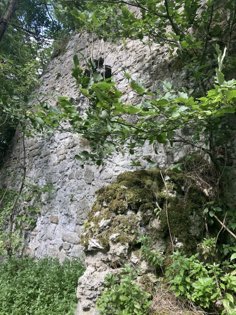 Klettenberg Castle Ruins: A Medieval Hilltop Fortress in Germany 2 Burgruine Klettenberg