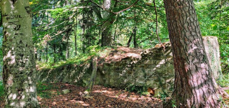 Burg Ror: A Medieval Hilltop Castle in Bisingen, Germany