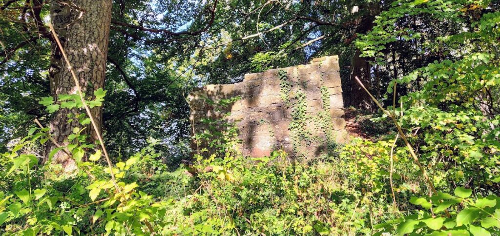 Burg Ror: A Medieval Hilltop Castle in Bisingen, Germany 2 Burg Ror