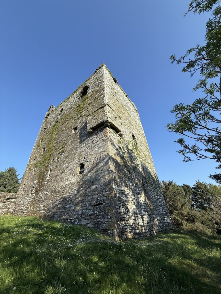 Ballinacarriga Castle: A Sixteenth-Century Tower House in Ireland
