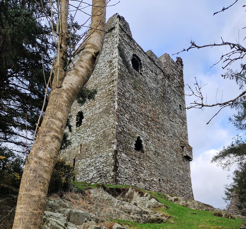 Ballinacarriga Castle: A Sixteenth-Century Tower House in Ireland 2 Ballinacarriga Castle