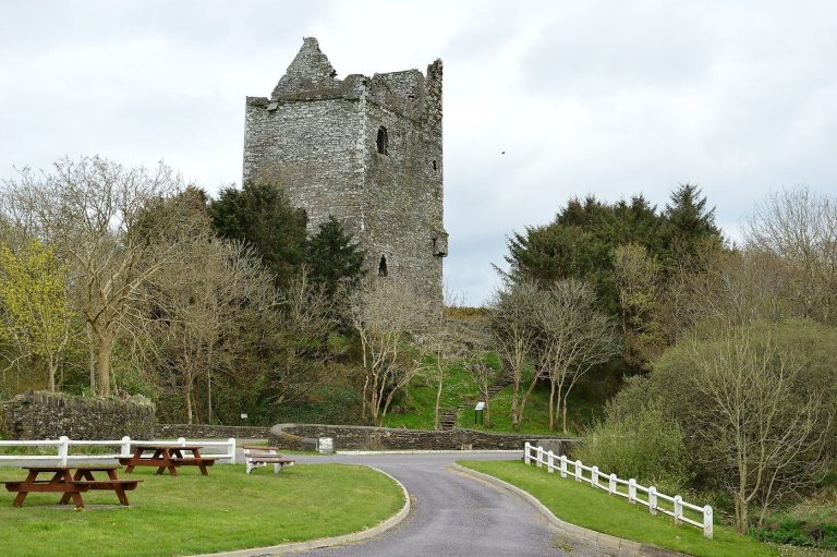 Ballinacarriga Castle: A Sixteenth-Century Tower House in Ireland