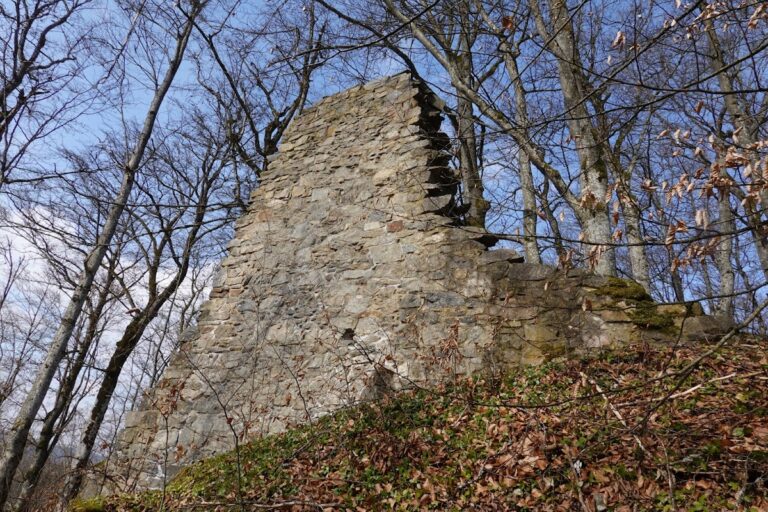 Burg Neuenbuchberg: A Medieval Spur Castle in Germany