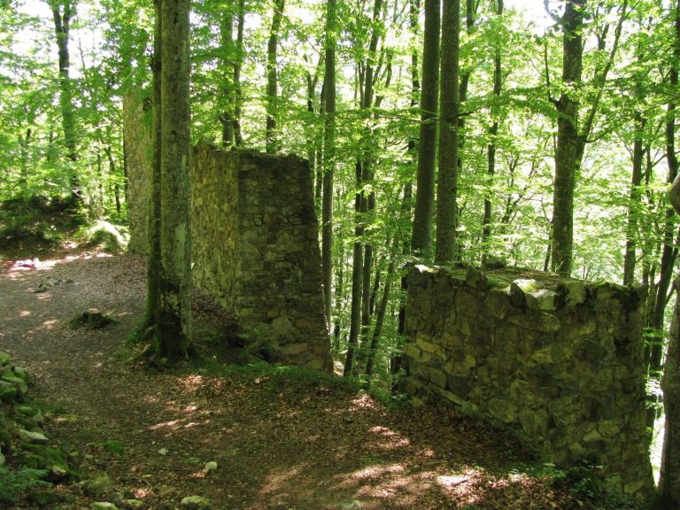 Burg Neuenbuchberg: A Medieval Spur Castle in Germany