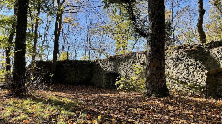 Maienburg: A Medieval Hilltop Castle in Germany