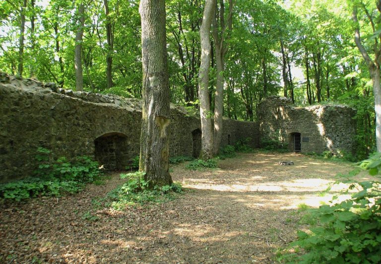 Maienburg: A Medieval Hilltop Castle in Germany