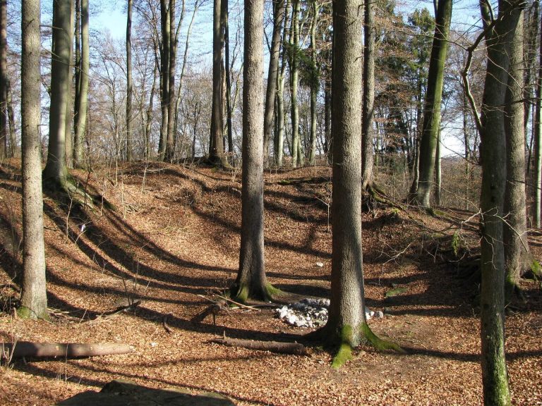Burgstall Karlsburg: A High Medieval Hilltop Castle in Germany