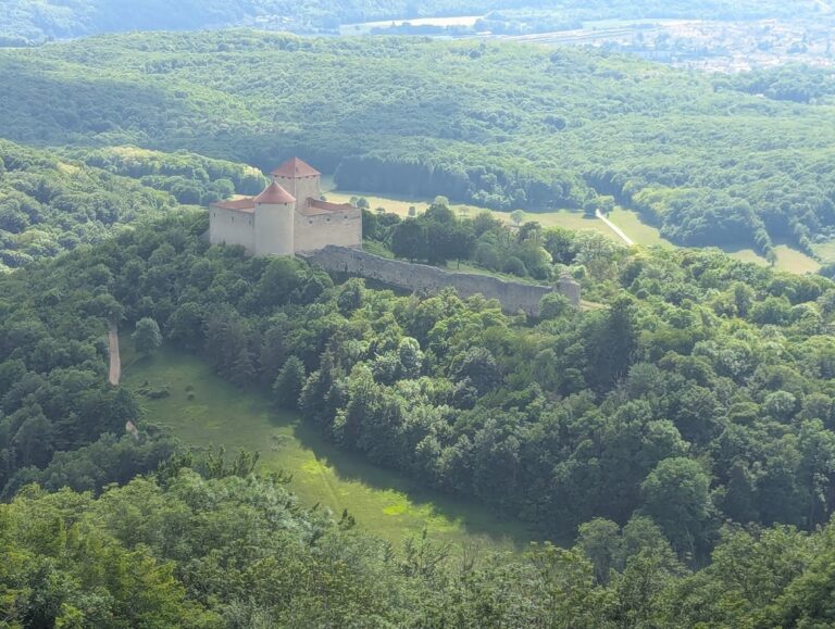 Château de Luisandre: A Medieval Savoyard Frontier Fortress in France