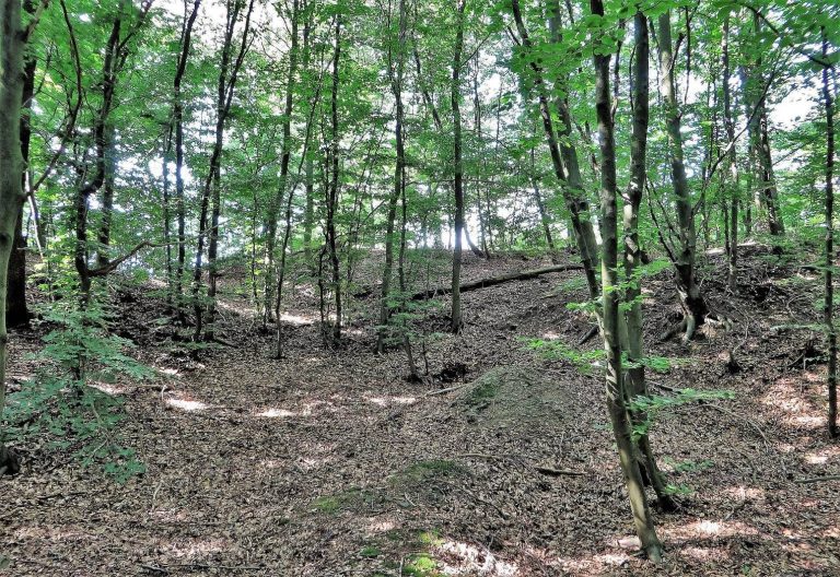 Wallburg Sieben Gräben: A Medieval Hillfort near Hohenlimburg, Germany
