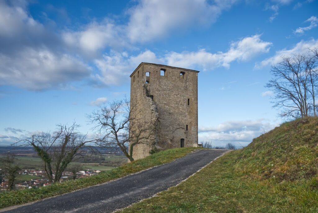 Château de Saint-Denis-en-Bugey: A Medieval Fortress and Seigneurial Residence 1 Château de Saint-Denis-en-Bugey