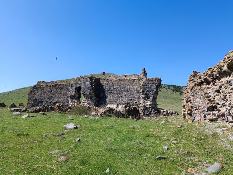 Mglinavi Kalesi: A Medieval Georgian Castle in Türkiye