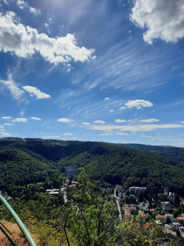 Kleine Harzburg: A High-Medieval Forward Castle in Germany