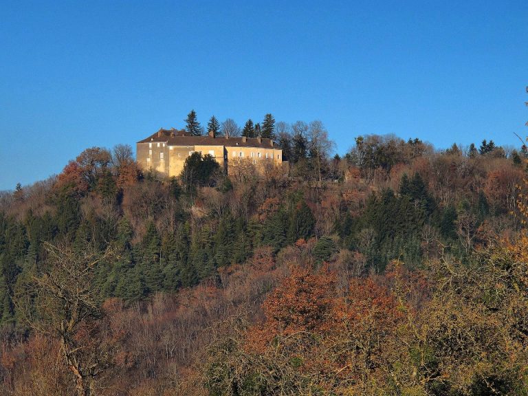 Château de Châtillon-sur-Lison: A Historic Castle in France