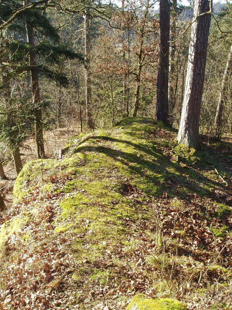 Burg Neuaist: A Medieval Hill Castle in Austria