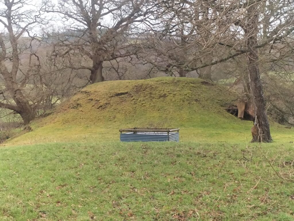 Mathrafal: Capital of Medieval Powys and Castle Site 2 Mathrafal
