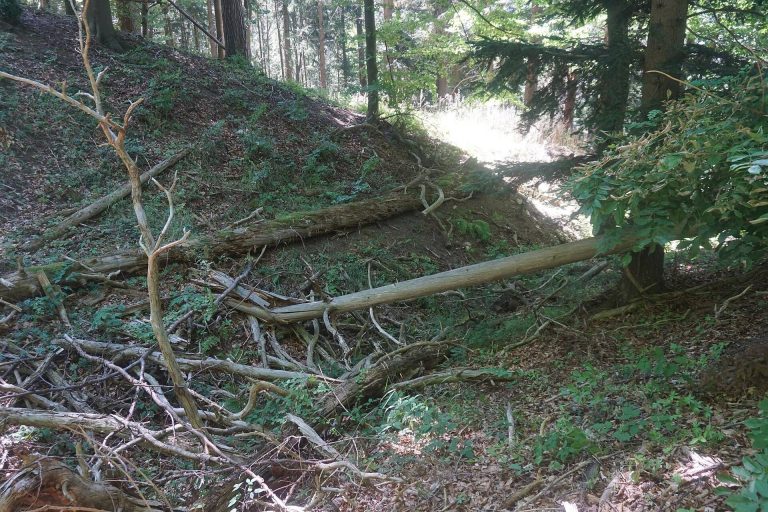 Burg Hirschberg: A Vanished Medieval Spur Castle in Germany