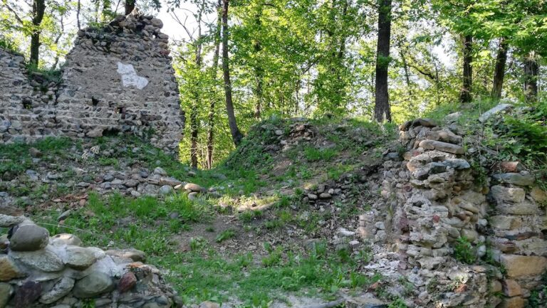 Castello di Baratonia: Medieval Fortified Center of a Viscounty
