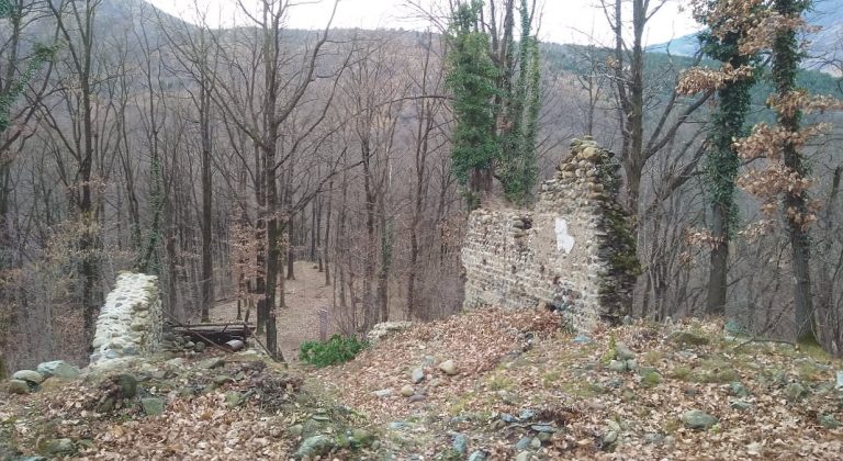 Castello di Baratonia: Medieval Fortified Center of a Viscounty
