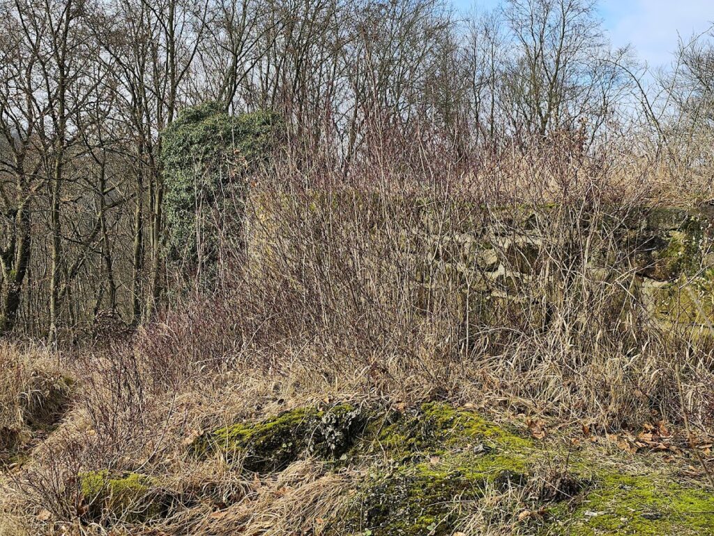 Rodersen Castle Ruins: A Medieval Hilltop Castle in Germany 2 Burgruine Rodersen