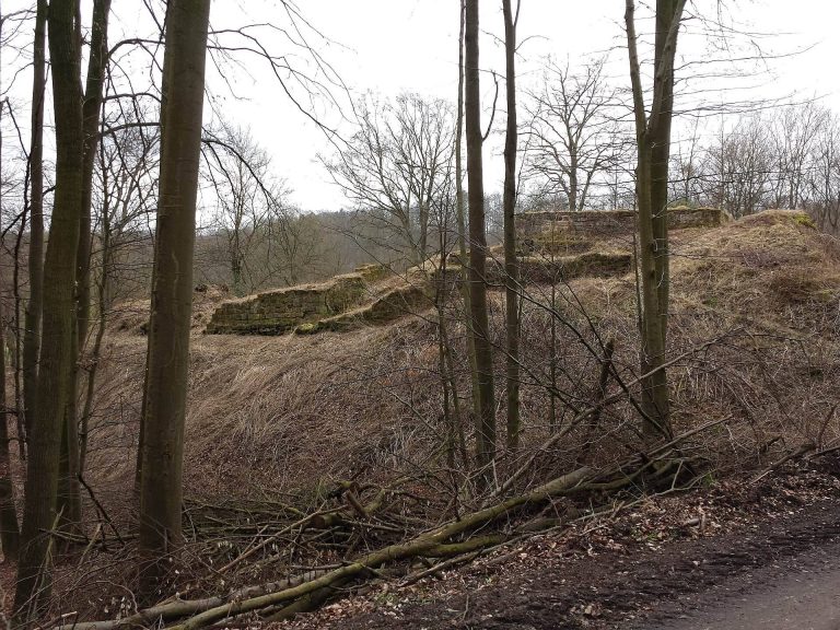Rodersen Castle Ruins: A Medieval Hilltop Castle in Germany