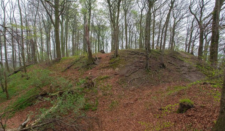 Burg Hohenrode: A Medieval Hilltop Castle in Germany