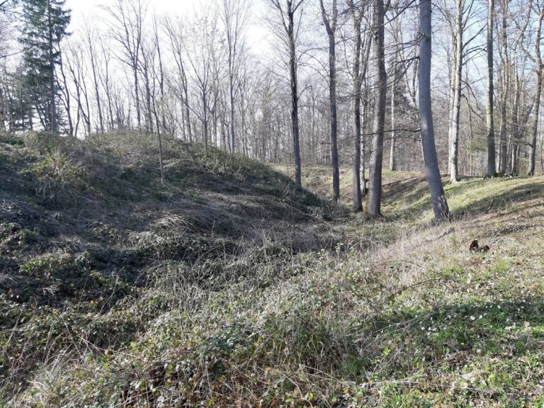 Burg Zillenhart: An Abandoned Hilltop Castle in Germany