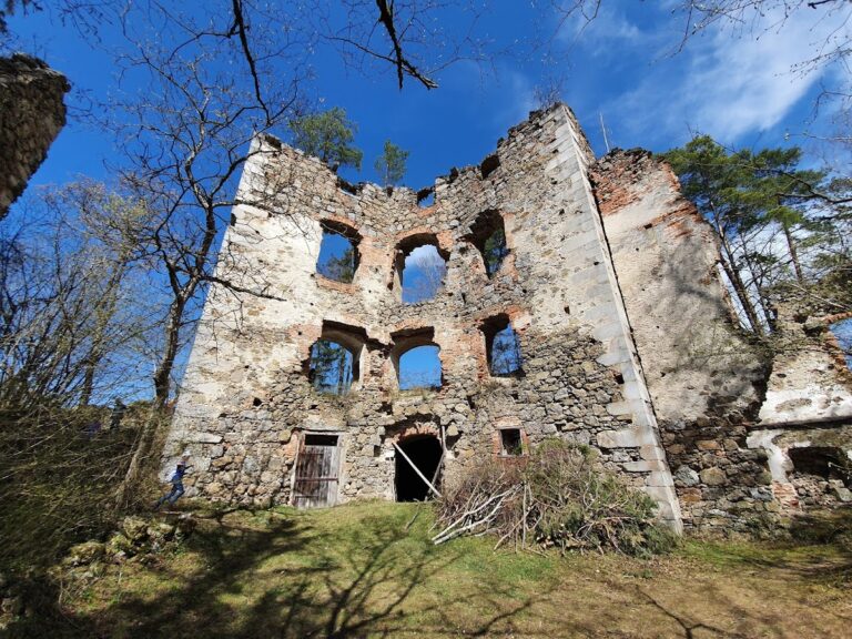 Ruine Oberwallsee: A Medieval Castle Ruin in Austria