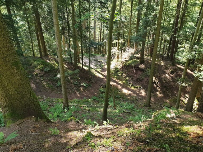Willenburg: A High Medieval Hilltop Stronghold near Schiltach