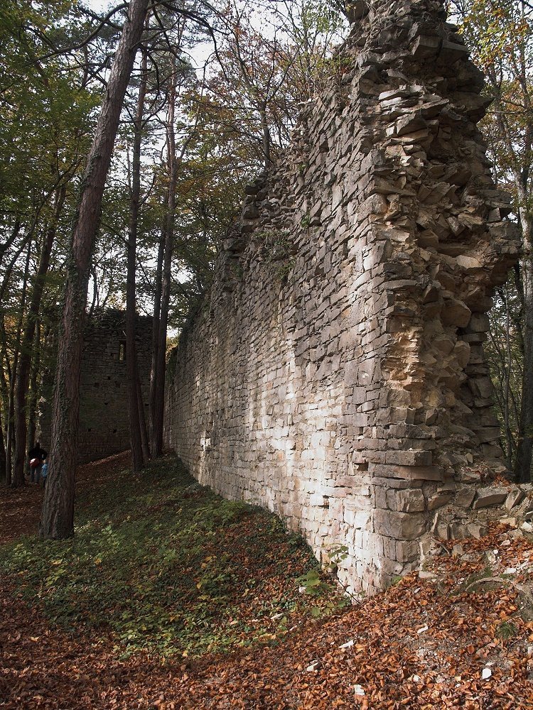 Tudoburg: A Medieval Spur Castle in Germany