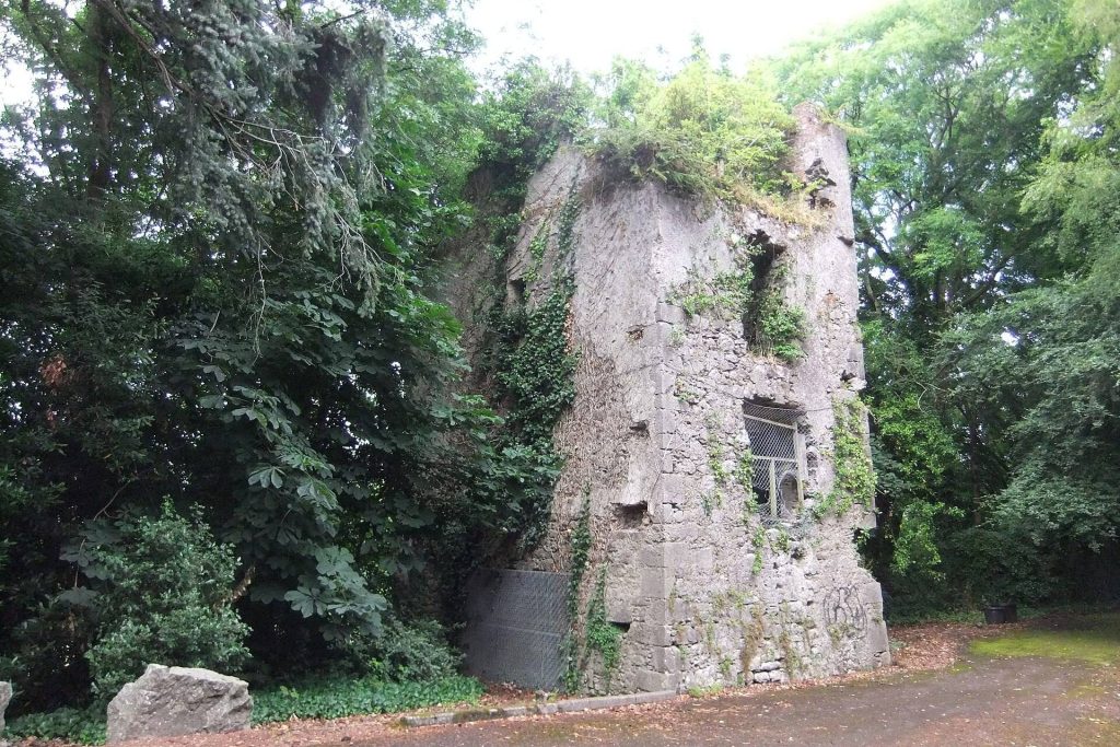 Dundanion Castle: A Tudor Tower House in Cork, Ireland 1 Dundanion Castle