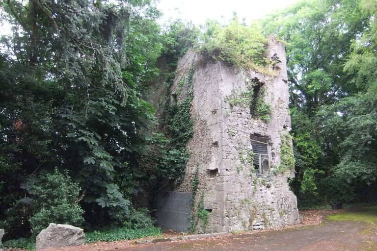 Dundanion Castle: A Tudor Tower House in Cork, Ireland
