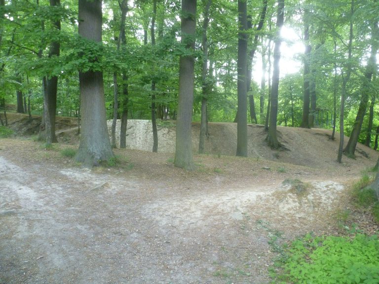 Schnepfenburg: A Medieval Motte Castle in Germany